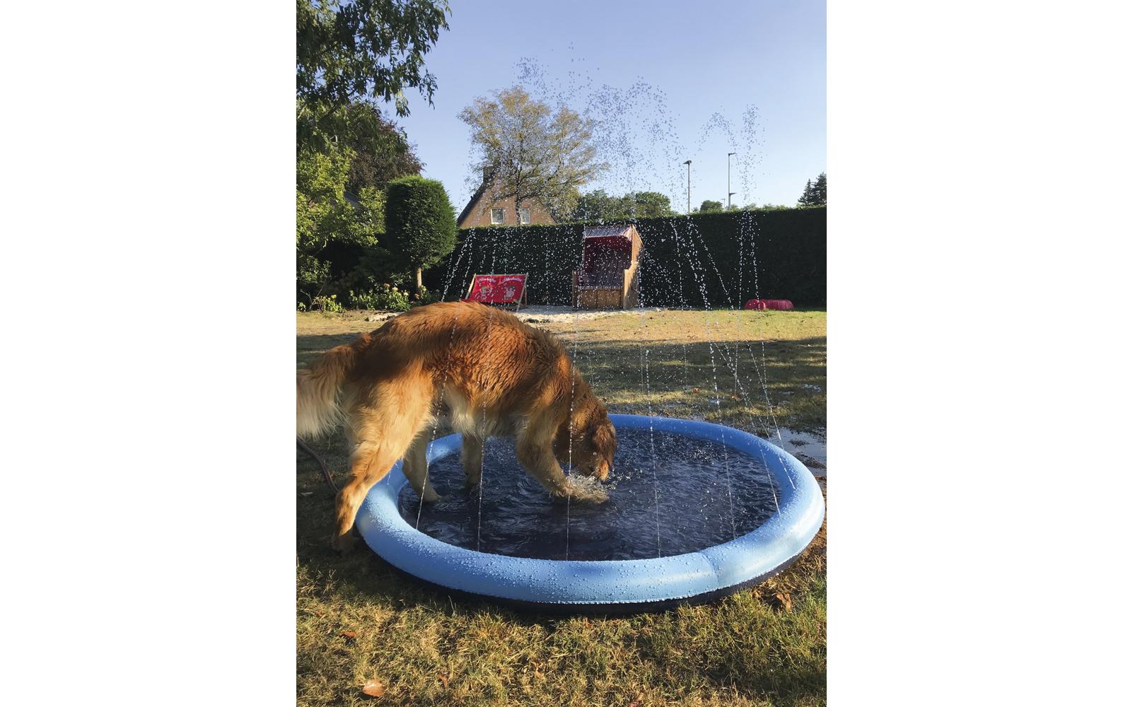 Hundepool Splash, Ø 150 cmBadespass und Abkühlung für Hunde