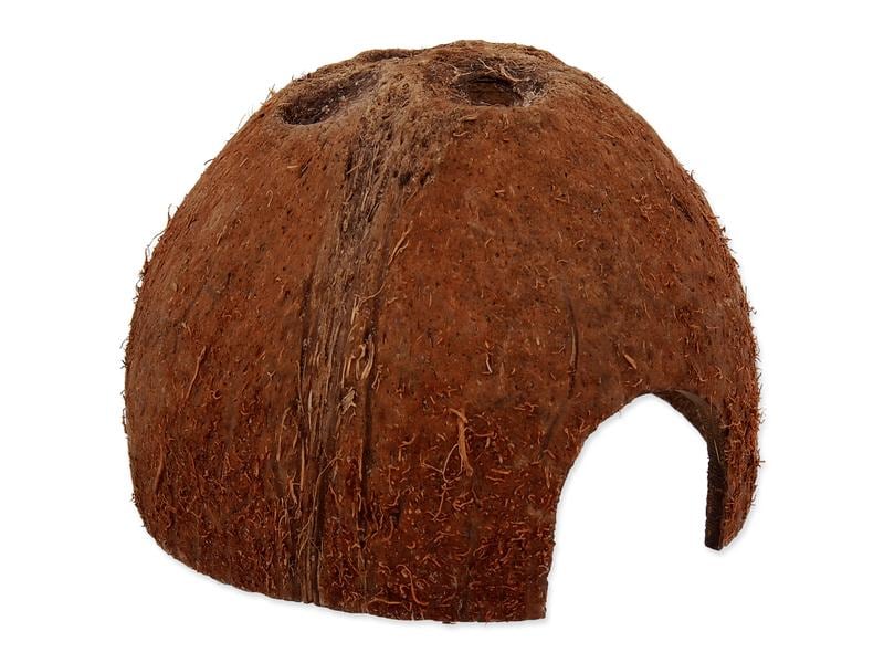 Repti Planet Coco Schale S Kokosnussschale