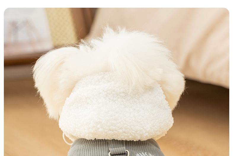 Cissilli - Corduroy Pet Top met capuchon en letters