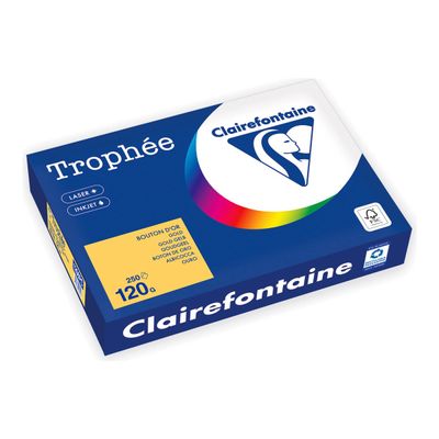 Clairefontaine Trophée - Papier - or - A4 (210 x 297 mm) - 120 g/m² - Ramette de 250 feuilles