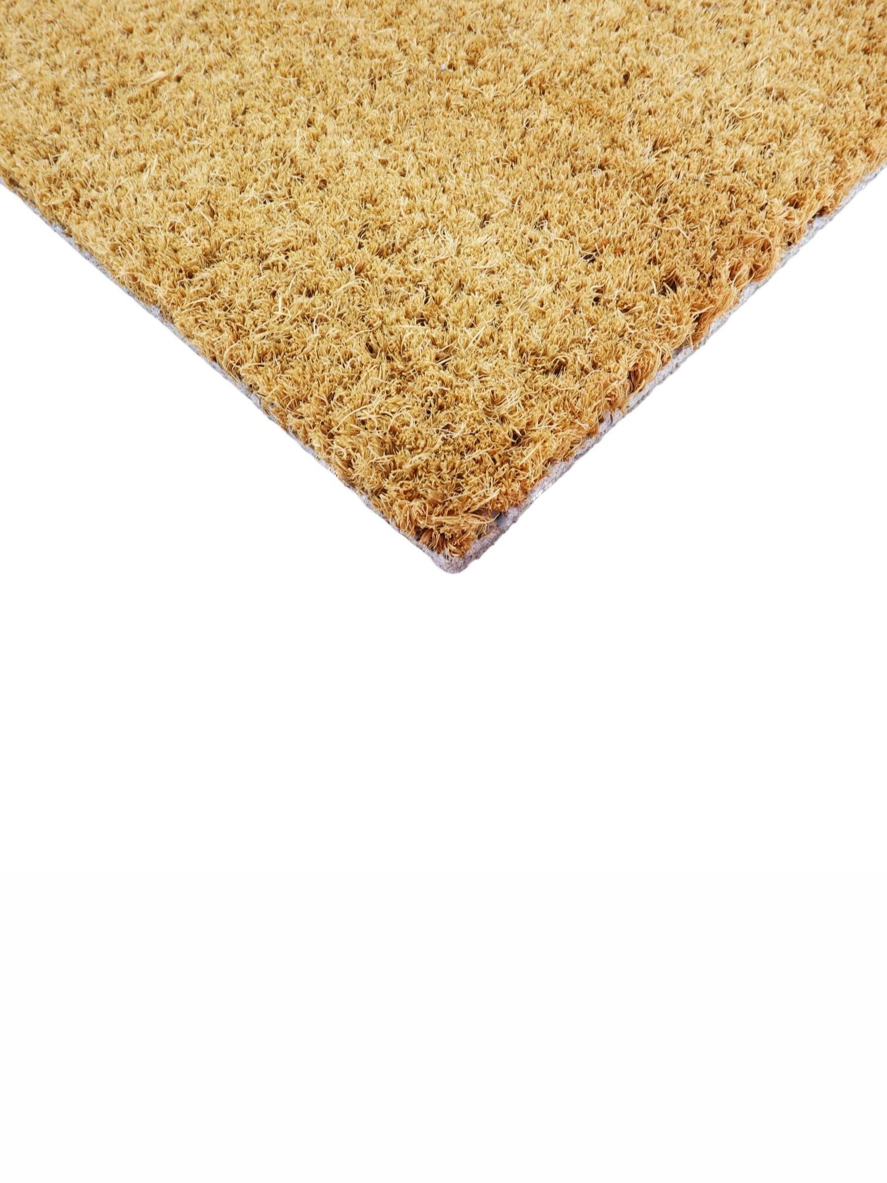 Artsy Mats Oh No Not You Again Doormat