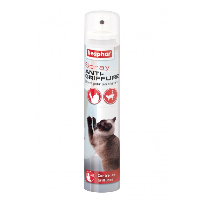 Spray anti-griffure