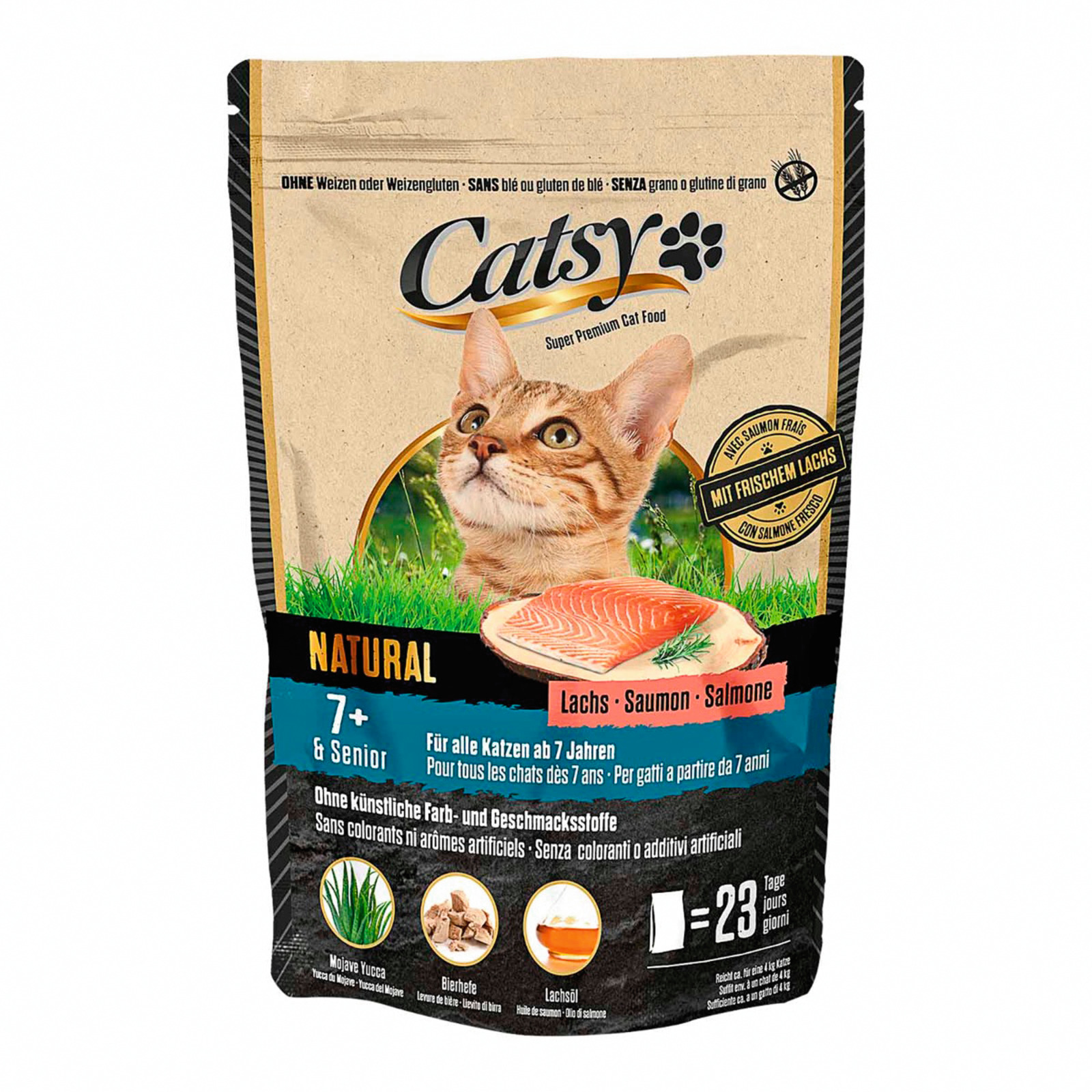 Catsy 7+ Cat Salmon 1kg