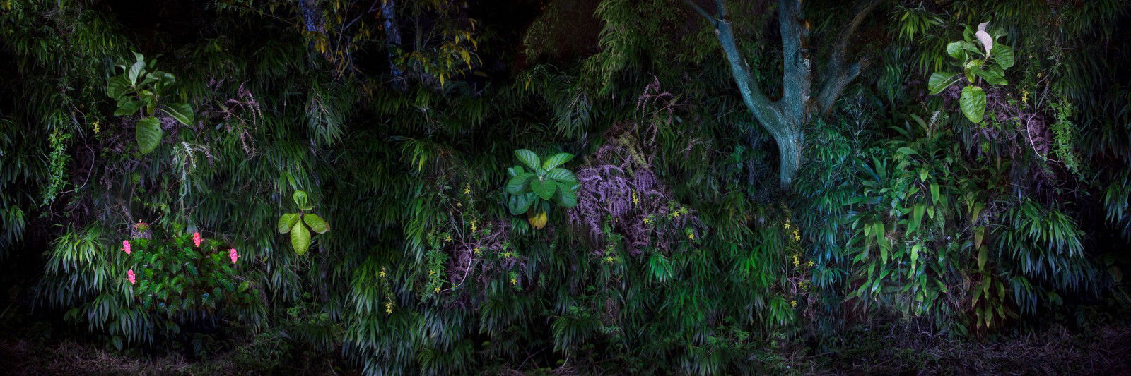 Eden II. by Katalin Vasali - Limited Edition. Edition of: 150. Signed.