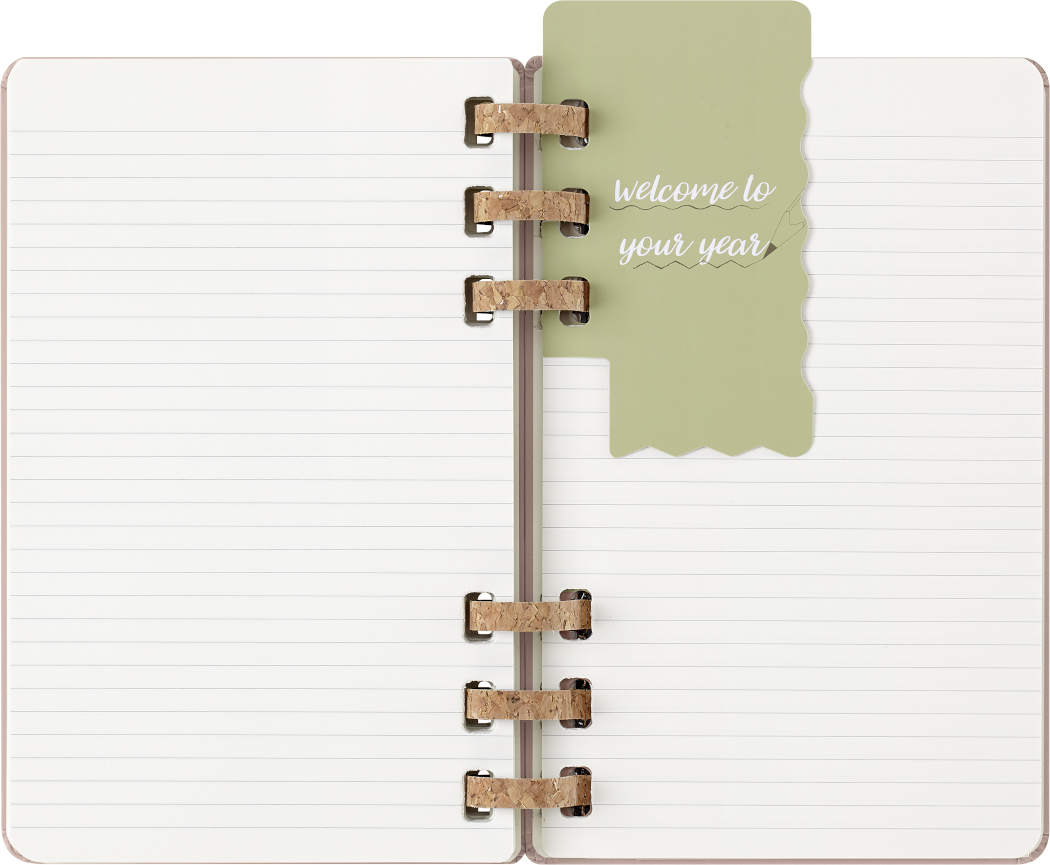 Life Planner 2025 L 12-Month, Spiral