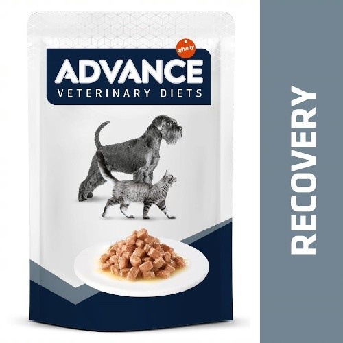 Sachê de recuperação avançada de 100g para cães e gatos.