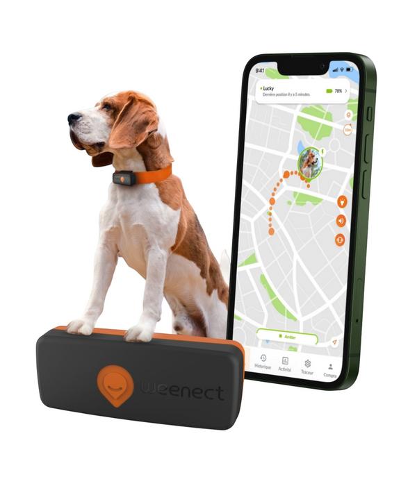 Weenect XS GPS-Tracker für Hunde, ca.