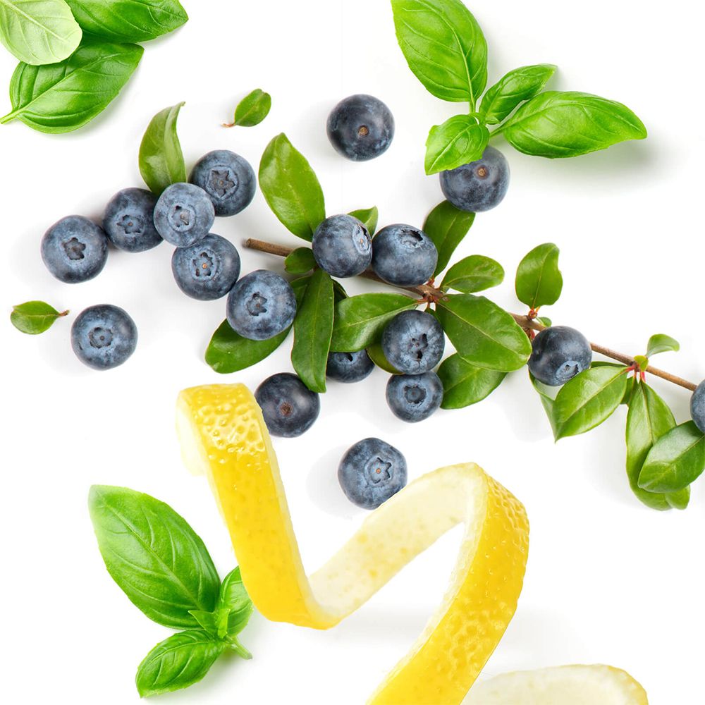 phyto vitamins Augen Complex