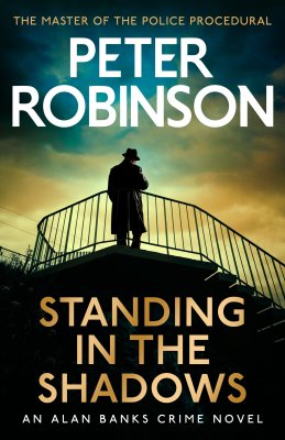 Standing in the Shadows (Hardback)