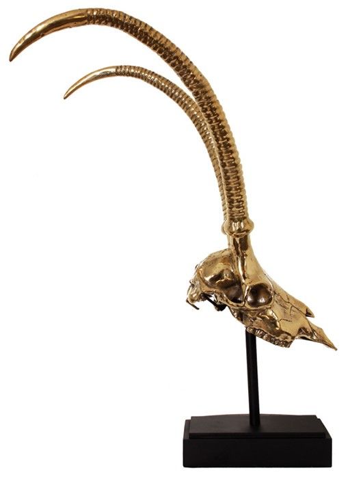 Deco H13 Gazelle SkullB53 x D60 x H71 cm