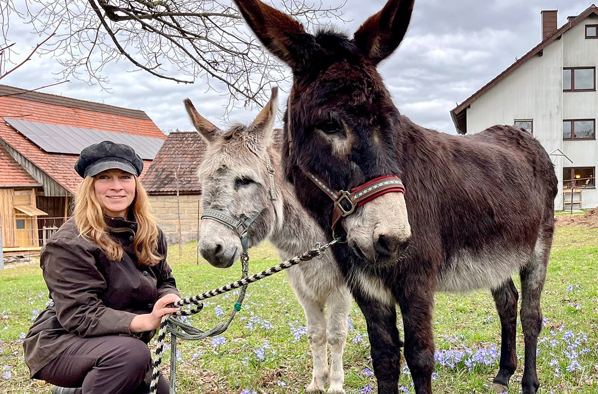 Esel Picknick für 2 Fichtenau