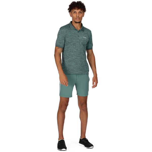 Polo randonnée REGATTA REMEX II SEA PINE