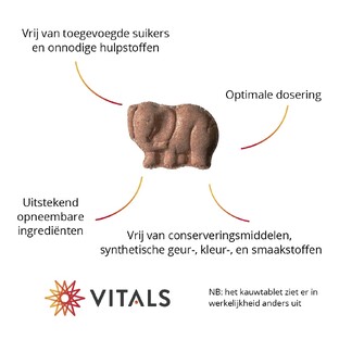Vitals Elke Dag Junior Kauwtabletten 90TB