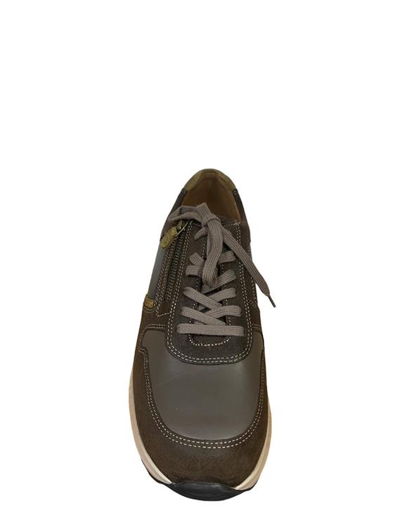 Mephisto Dino walnut