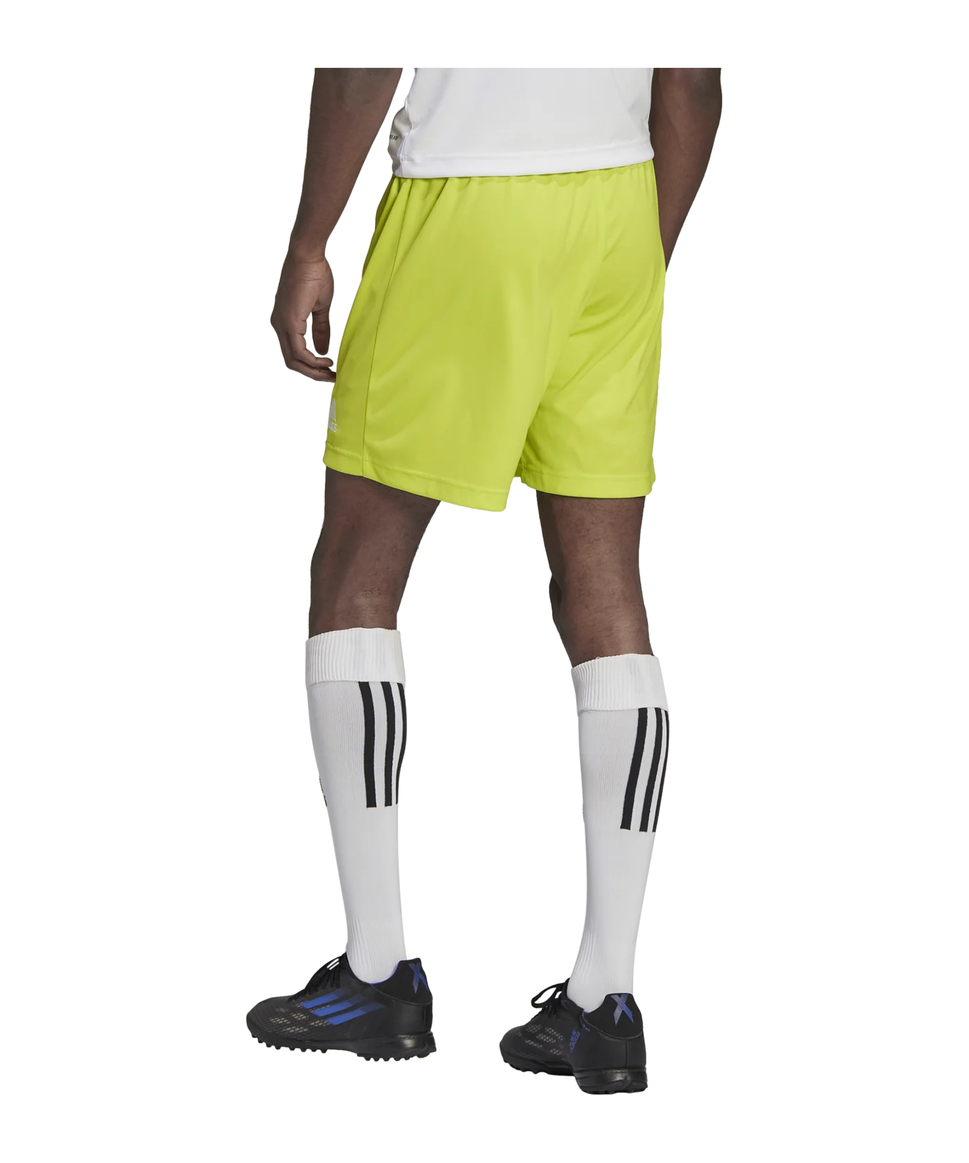 adidas Entrada 22 Short Grün