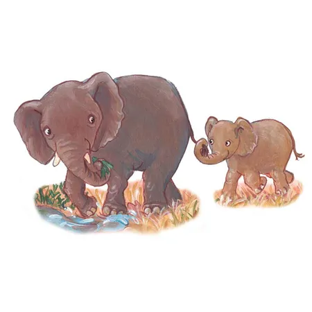 Coppenrath Verlag Wer lebt im Zoo? (Wackelschwänzchen-Buch)