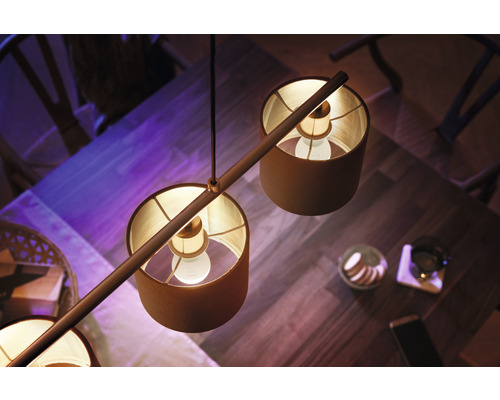 Philips Hue Druppellamp Wit Dimbaar Wit E14 5.7W 470 lm Warm Wit - Compatibel met SMART HOME van Hornbach