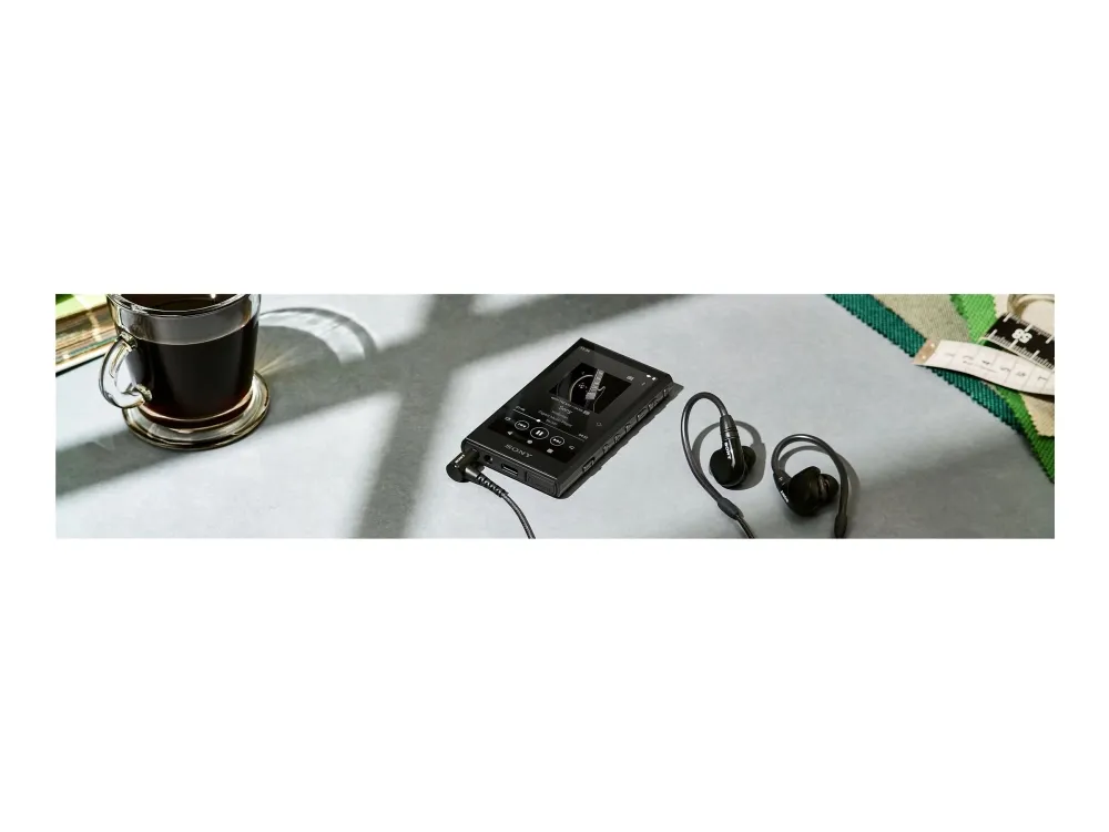 Sony Walkman NW-A306 - Digital afspiller - 32 GB - sort