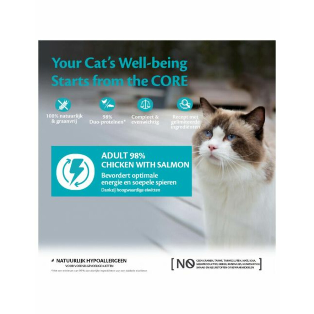12x Wellness Core Kattenvoer 98% Recipe Kip - Zalm85 gr