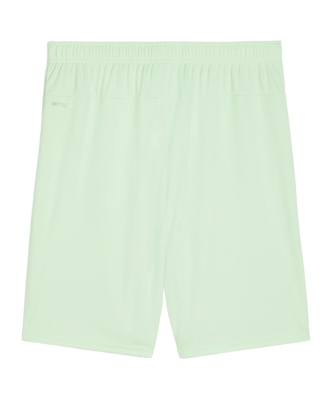PUMA teamGOAL Short Grün Schwarz F60