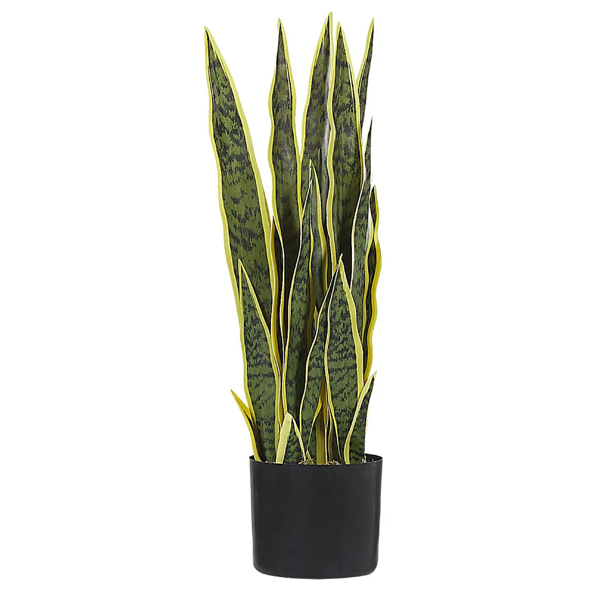 BELIANI SNAKE PLANT 63 cm Vert