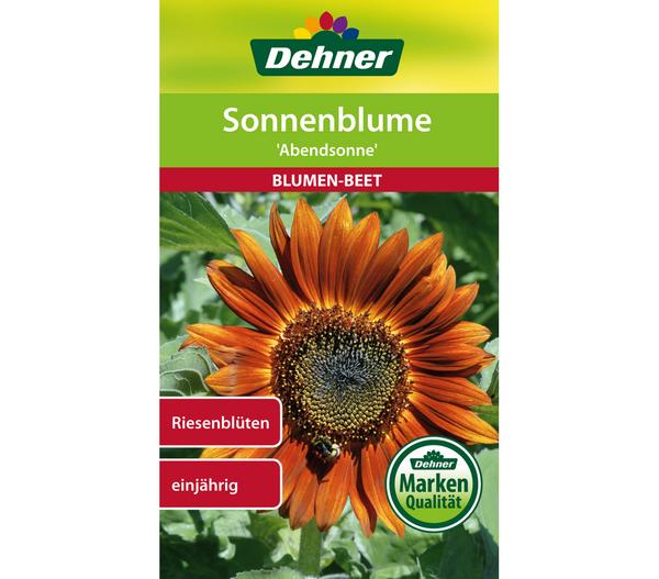 Dehner Samen Sonnenblume 'Abendsonne'