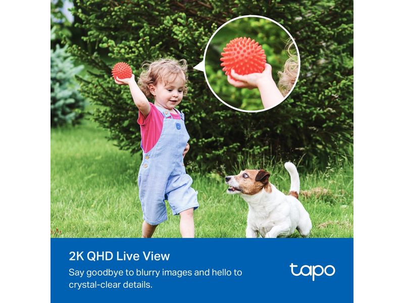 TP-Link Netzwerkkamera Tapo C425 inkl. Solarpanel Tapo A201 Solarbetriebenes Sicherheitskamera-Kit