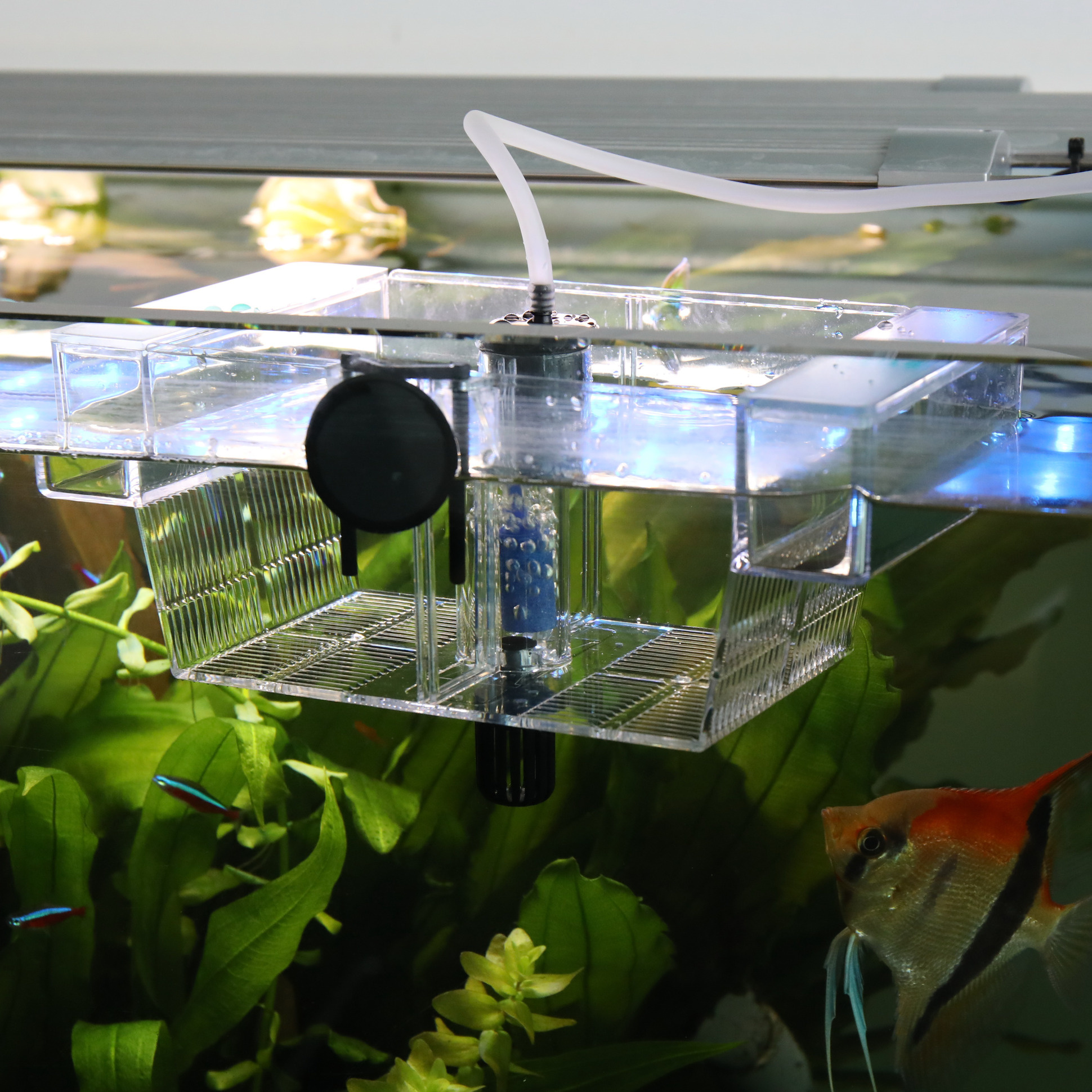 JBL BabyHome Oxygen | Kuitschietbak