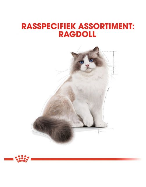 Royal Canin Ragdoll Adult - Kattenvoer