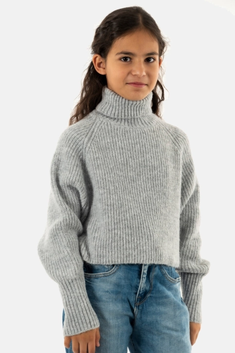 pulls hiver Le Temps Des Cerises saiagi 0044 ash grey