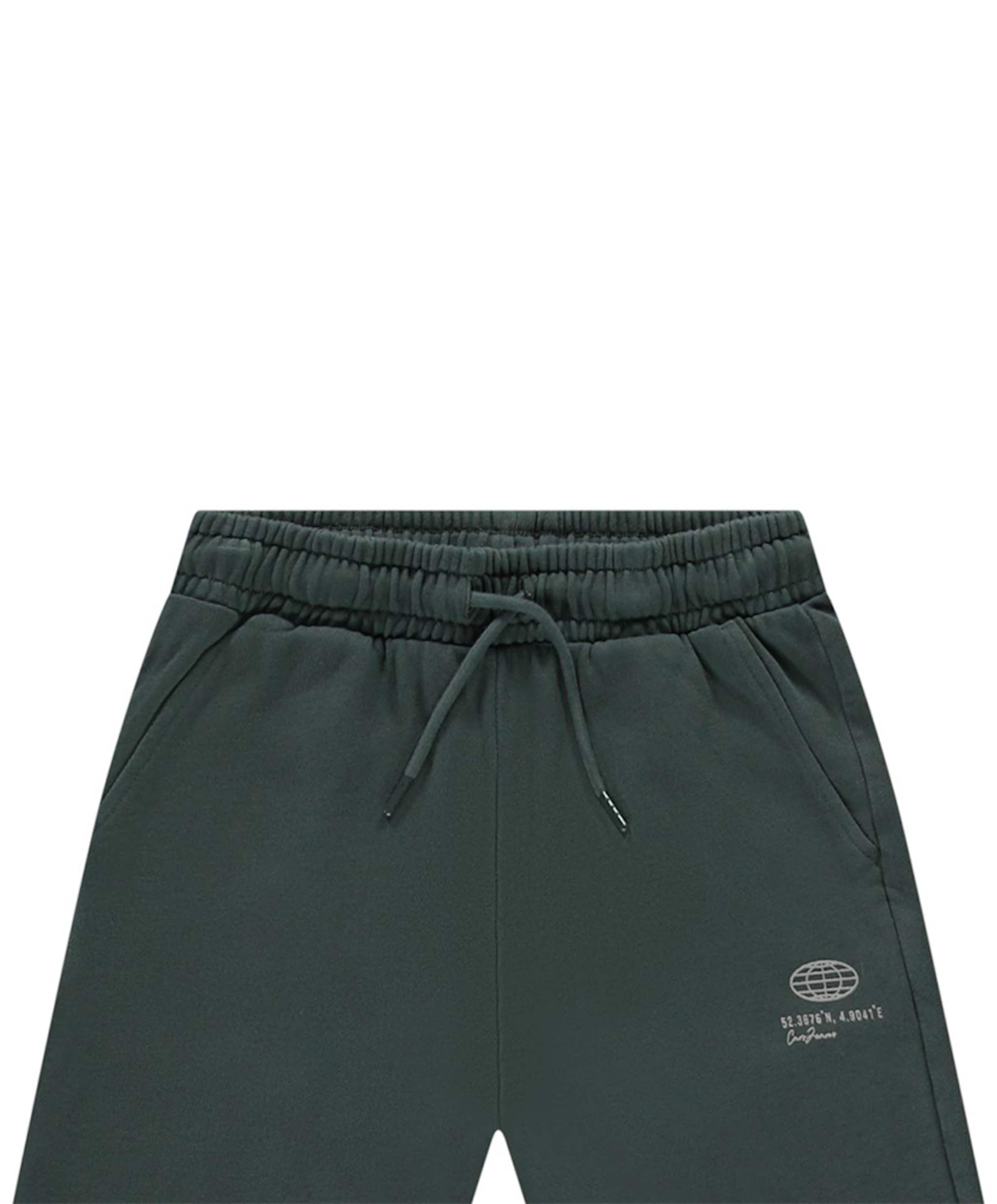Cars Jeans ARBY Shorts Antra jongens korte broek bruin
