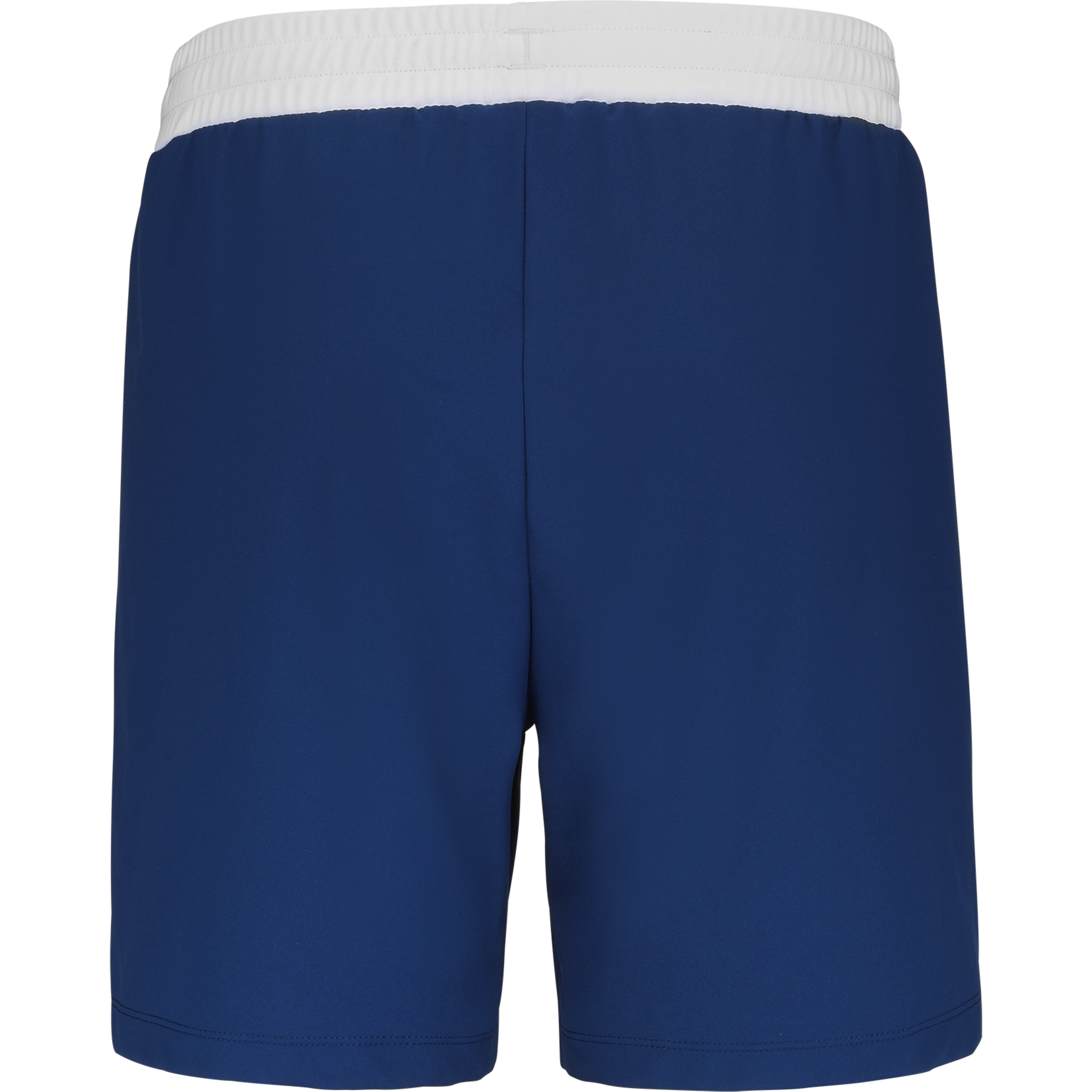 Shorts Lebron Herren Blau