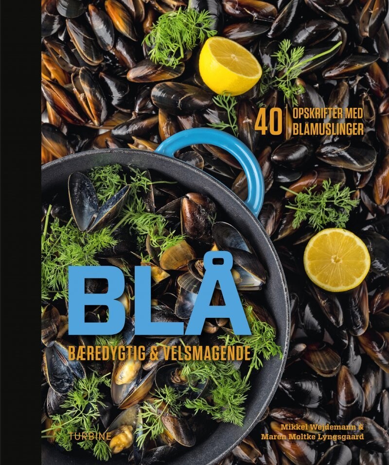 Blå - Mikkel Wejdemann - Bog