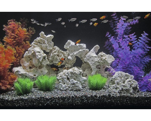 Aquarium decoratie steen Zanzibar Rock XL 1 stuk