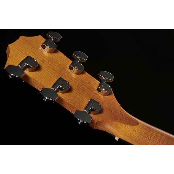 Taylor A10