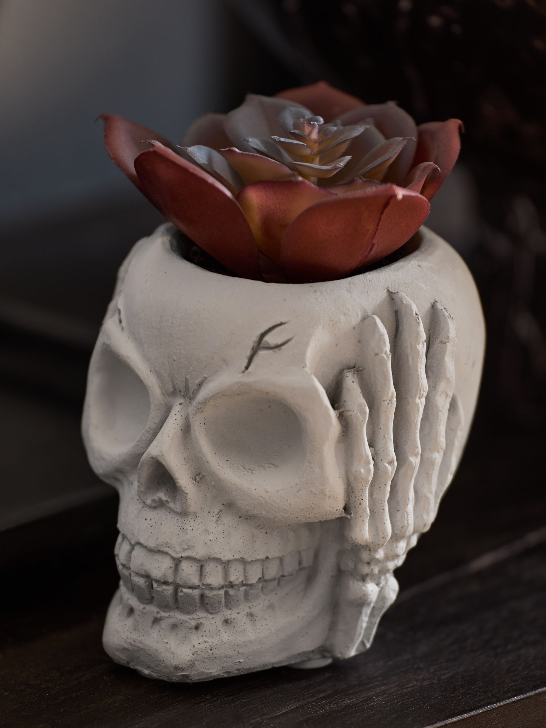 Kunstvetplant in een griezelige Halloween-schedel