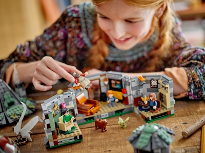 LEGO Hagrids huisje: onverwacht bezoek (76428)