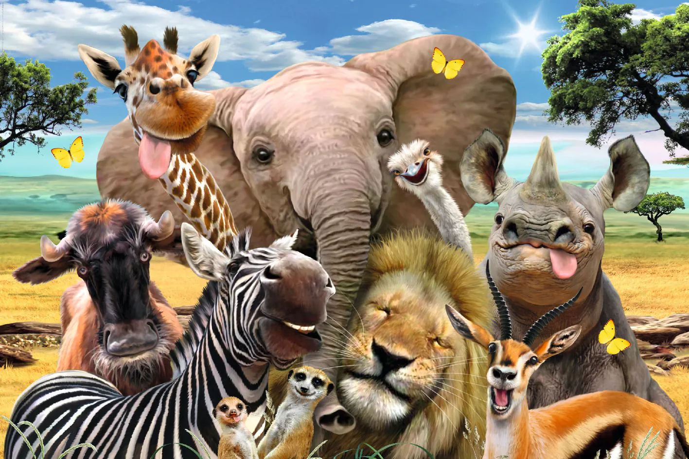 Poster Tiere Wilflife, 61 x 91 cm