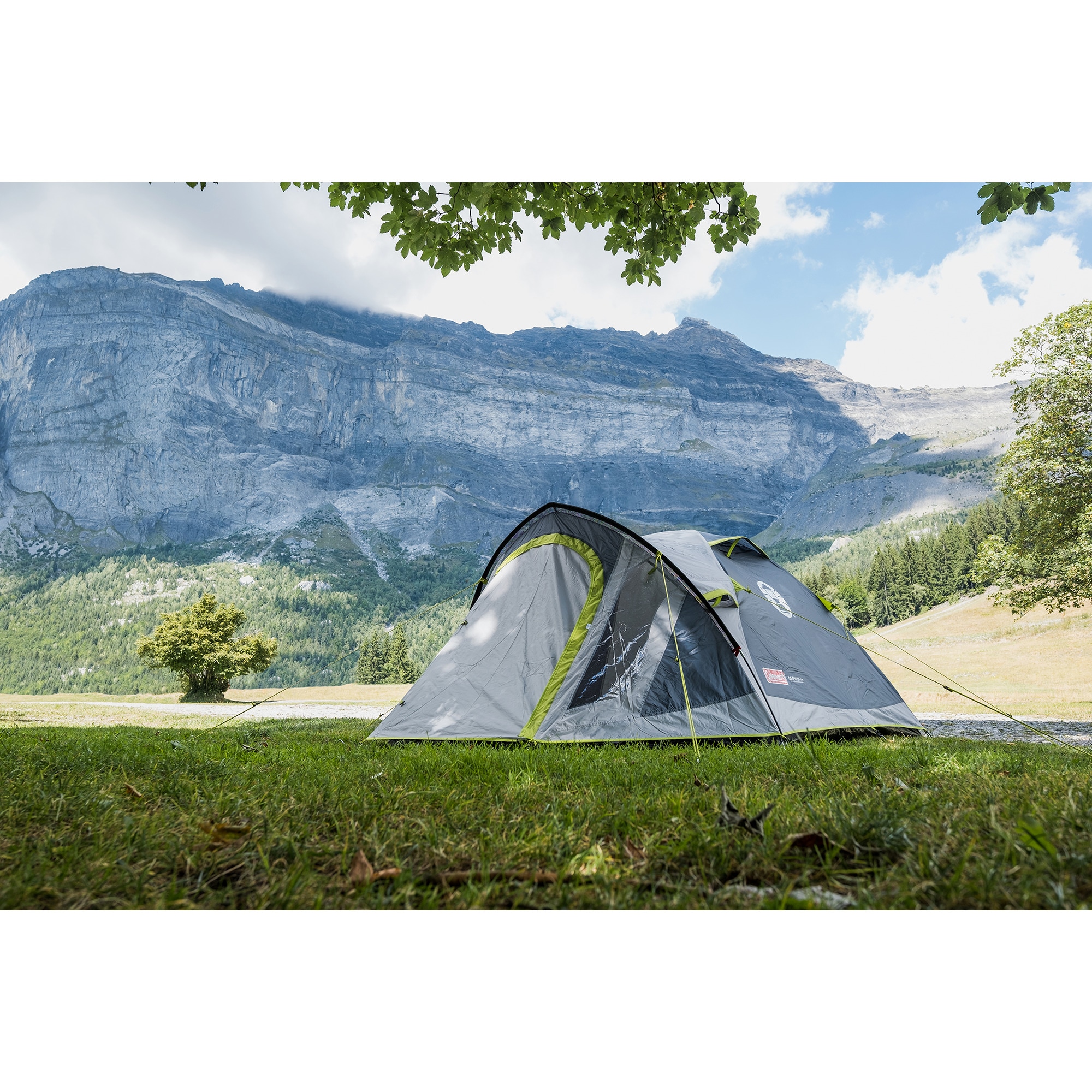 Coleman Zelt 3-Personen-Kuppelzelt Darwin 3 Plus