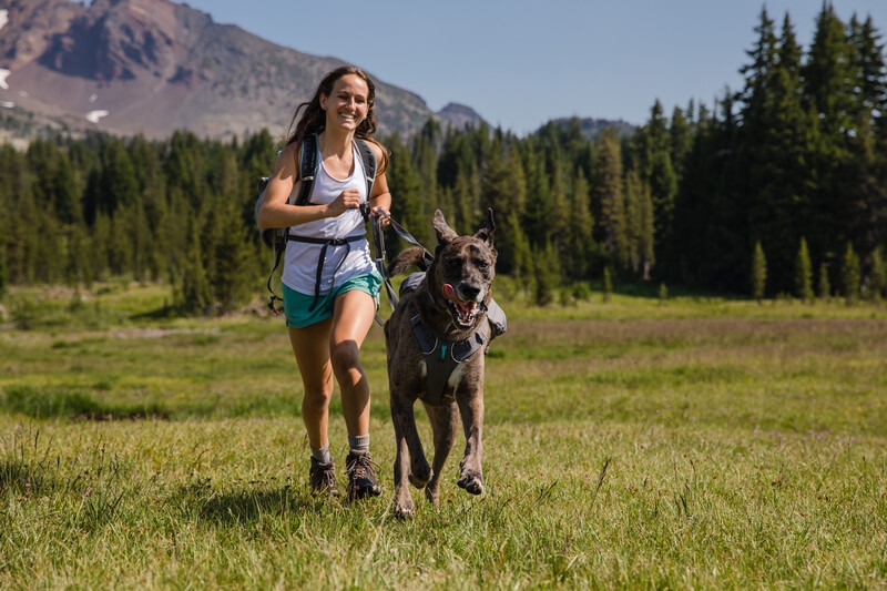 Ruffwear Switchbak Hundegeschirr Granite Gray XS 43 - 56 cm
