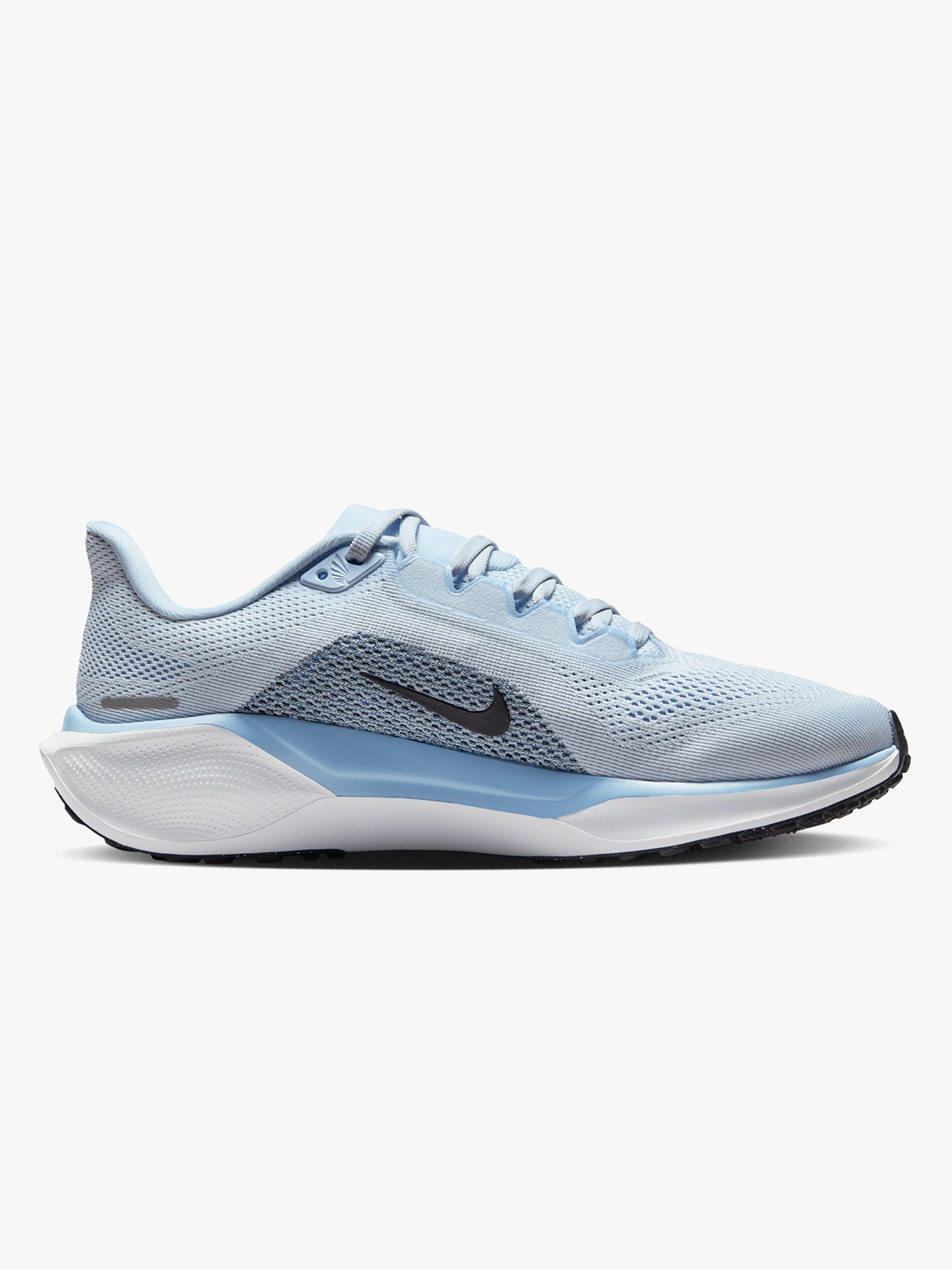 Pegasus 41