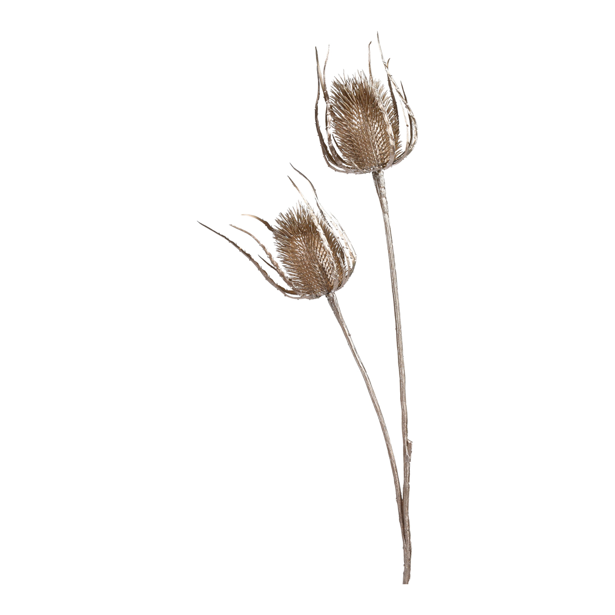 gold, L 81 cm