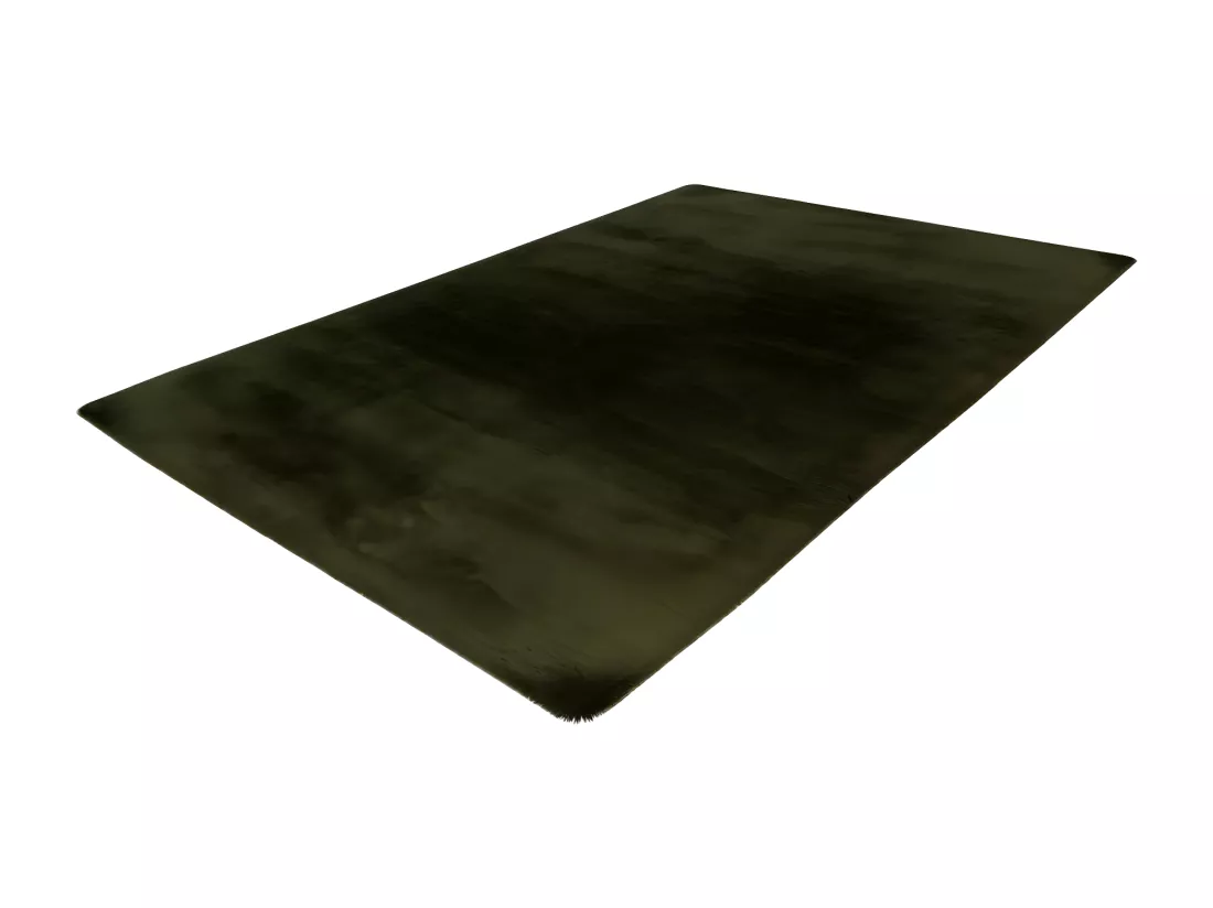 Tapis 170x120cm, design H008N coloris vert basilic - Confort et élégance pour votre intérieur