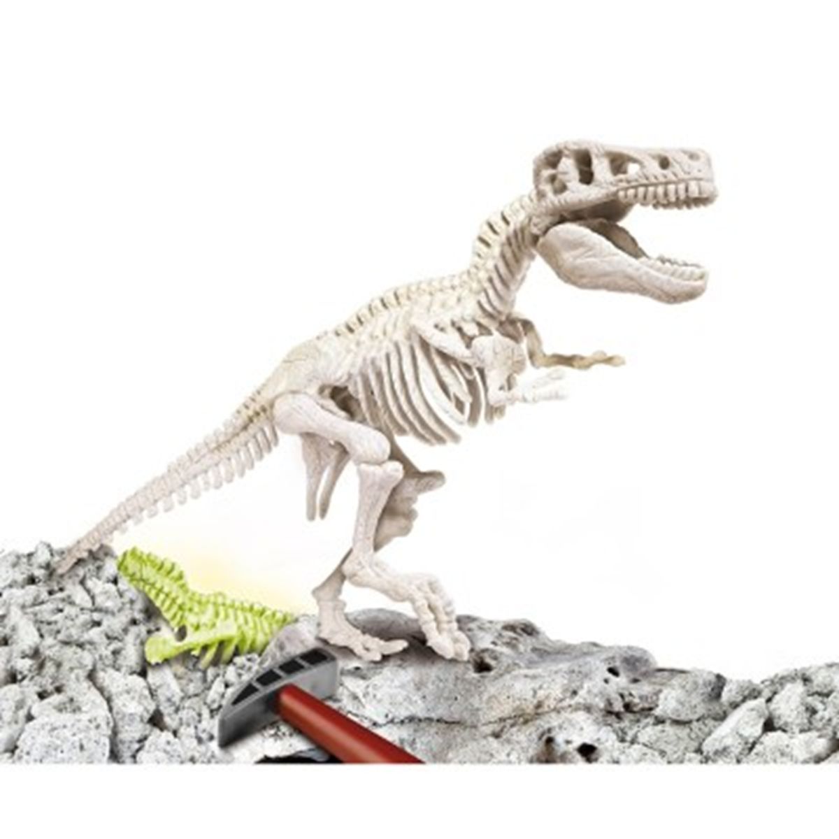 Archeo Ludic Trex phosphorescent