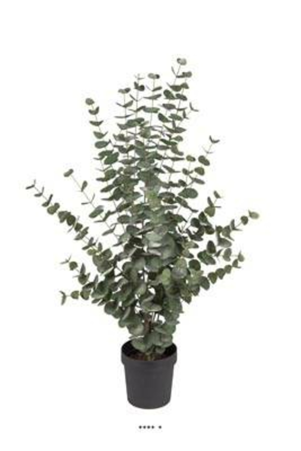 Eucalyptus cinerea artificiel en pot h 110 cm, d 70 cm - choisissez votre hauteu