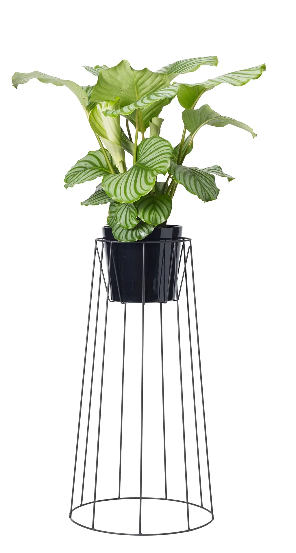 Pidestall Danny Høyde 75 cm