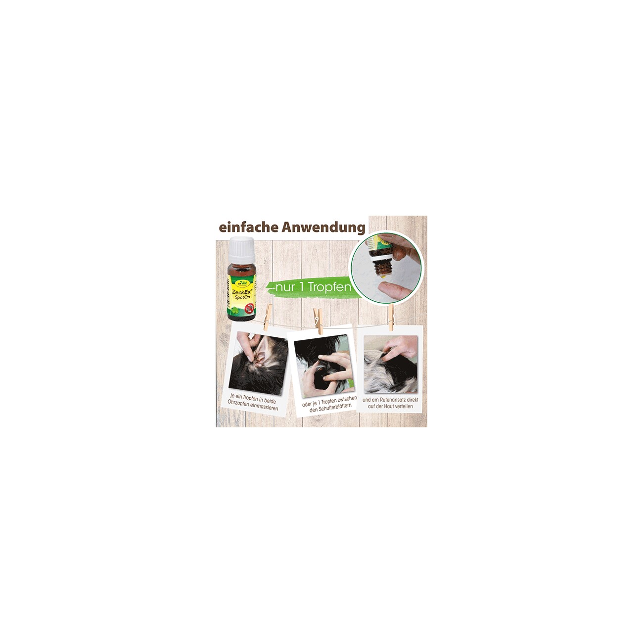 cdVet ZeckEx SpotOn 10ml