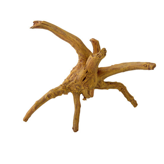 Décor aquarium wood light T.S