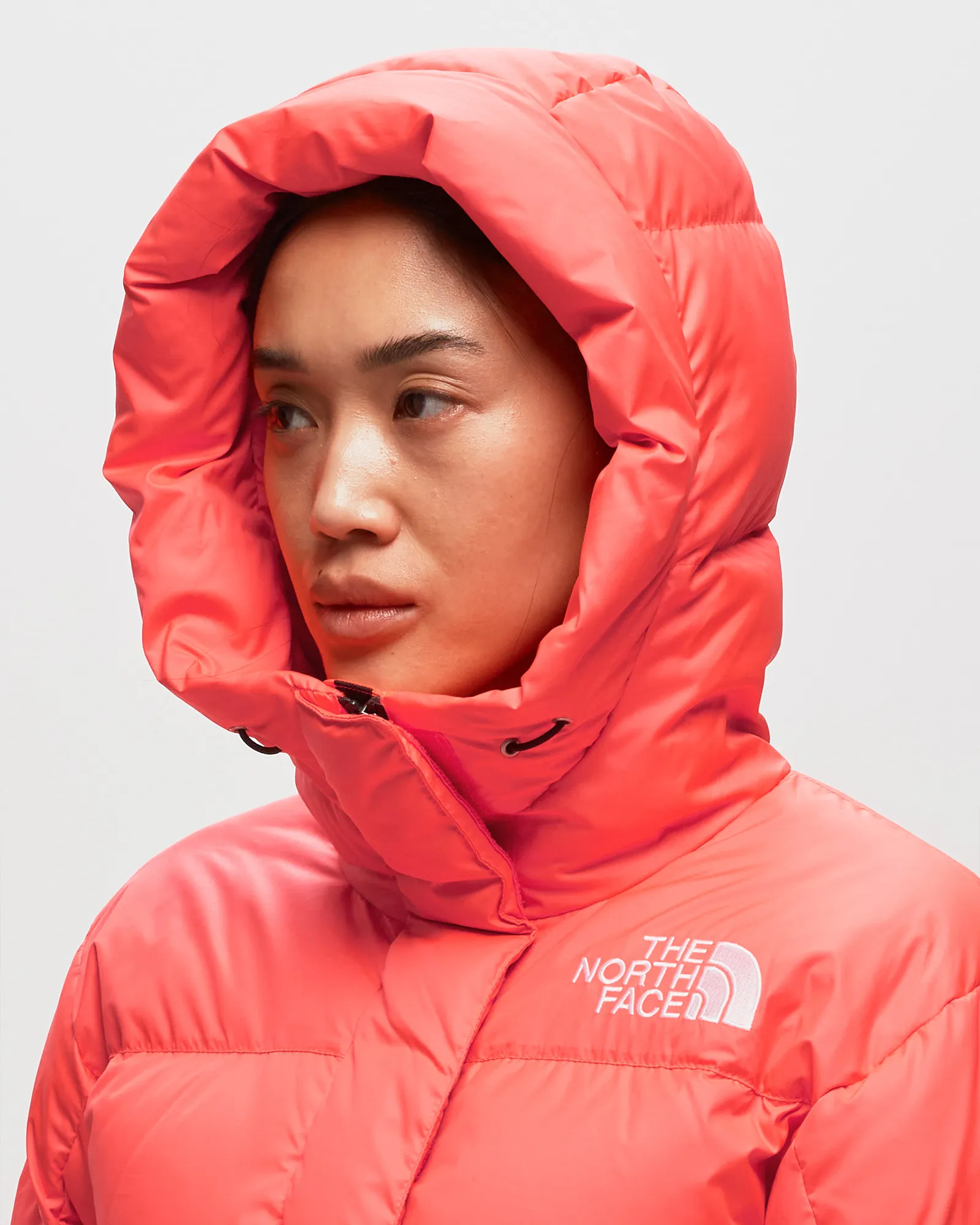 The North Face W HMLYN DOWN PARKA