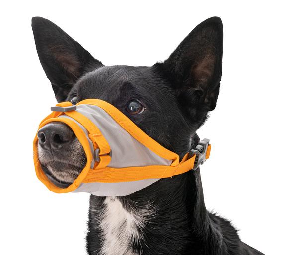 RUFFWEAR® Evakuierungsset BackTrak™